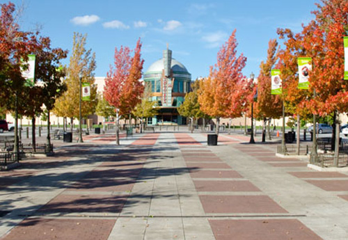 Dandini-Properties-Sparks-Nevada